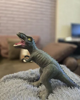 Rezina dinozavr sotiladi 1