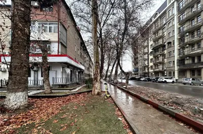 Chilonzor tumanida 65 m², 3 xonali kvartira ijarasi · ID 221 1