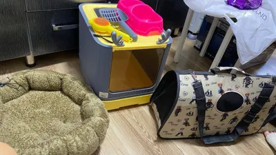 Mushuk uchun lotok, yotoqcha va sumka 1