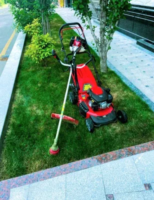 Gazon oramiz va dorilaymiz 1