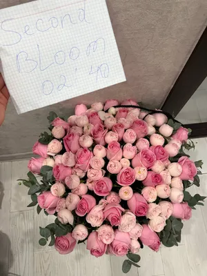 Только что доставили