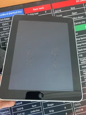 iPad Wi-Fi+3G 1