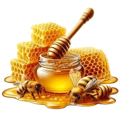 Krasnagorsk tog' asali 100 % toza 1 litre 350000 so'm