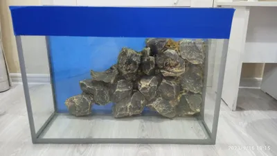 Shisha akvarium 1