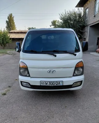 Hyundai Porter, 2011 год 1