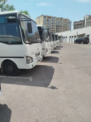 Автобус под заказ 1