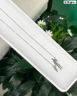 Цепочка с кулоном, серебро 925 пробы