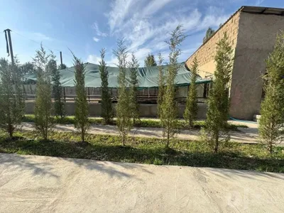 Продаётся Ферма 1