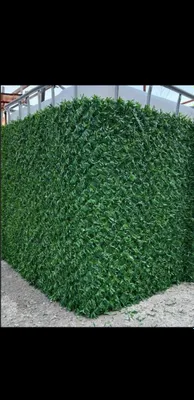 Eco zabor/Suniy zabor 1
