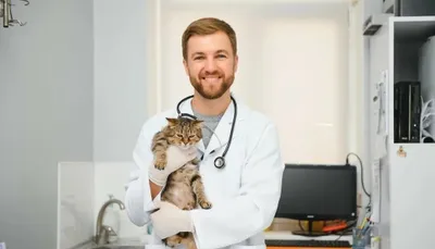 Veterinariya hizmati
