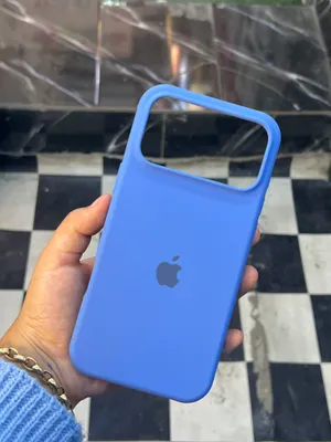 17 pro max