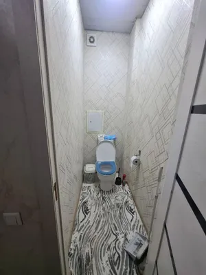 Квартира 1в2 1