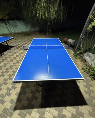 Настольный теннис Ping Pong 1