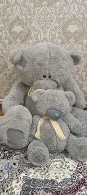 ayiqcha teddy sotiladi 1