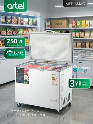 Artel muzlatgichi 1