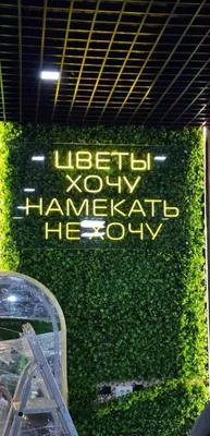 Neon peshtaxta! Do‘kon yoki go‘zallik saloni uchun logotipingiz yoki shioringiz — shoshilinch 1
