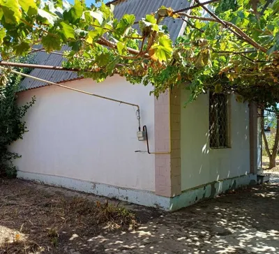 6 sotixlik dala hovli uchastkasi sotiladi 1