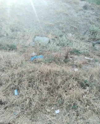 Yer uchastkasi sotiladi. Oqqo‘rg‘on. 6 sotix