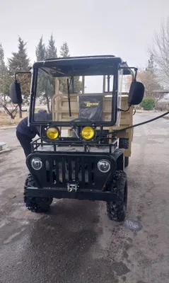 Квадроцикл LOCHIN 1