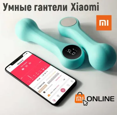Fitnes mashg‘ulotlari va yoga uchun Xiaomi Mi Move It Beat aqlli gantellari, 0,5 kg 1