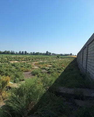 6,5 ga yer sotiladi, Zangiota tumani, Bo‘zsuv, ombor yoki ishlab chiqarish uchun 1