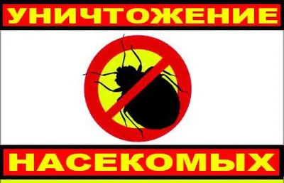 Дезинфекция от всех насекомых официально, гарантия 1 год
