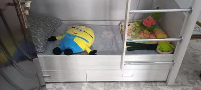 bolalar kravati holati alo darajada 1