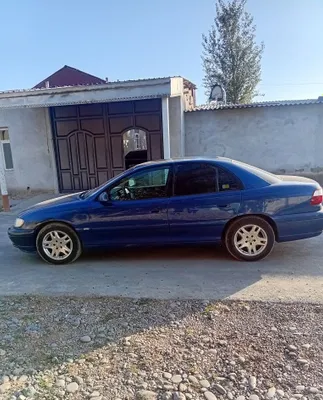 Balonlar yangi oldi oʼng kriloda kichik pitno bor 1