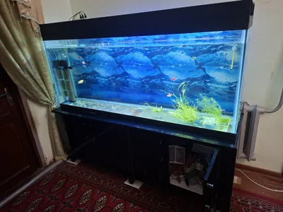Аквариум сатылады 1