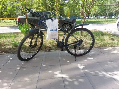 Velosiped BIKETEC Alyumin 29 RAMA 1