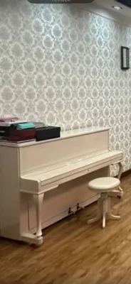 Oq Zimmermann pianinosi 1