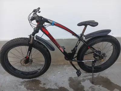 Velosiped  usta kòrmagan hamma narsasi radnoy