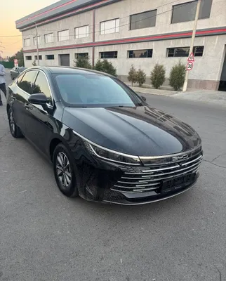 BYD Chazor 2024 g 1