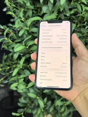APPLE IPHONE 11 PRO MAX 1