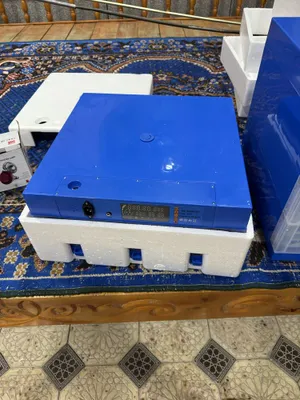 Inkubatorlar orginal bredn mahsuloti sinovdan o’tgan 1