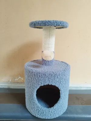 Кошкин дом новый