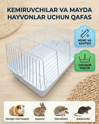 Kemiruvchilar va mayda hayvonlar uchun keng va chuqur qafas. Qafas. 1