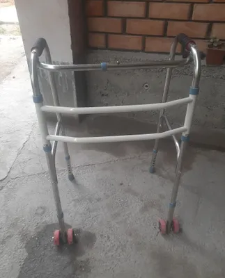 Ходунок, катталар учун 1