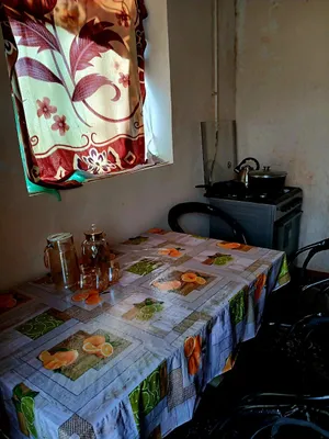 Uy 1