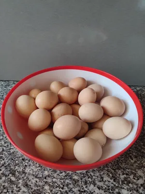 Хонаки тухумлар табий фойдали