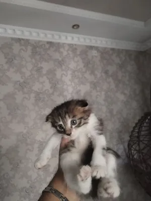 BDSM toifalari porno onlayn tomosha qilish