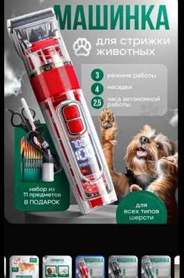Мощная LED-машинка, лёгкая стрижка любых собак/кошек, профессиональная 1