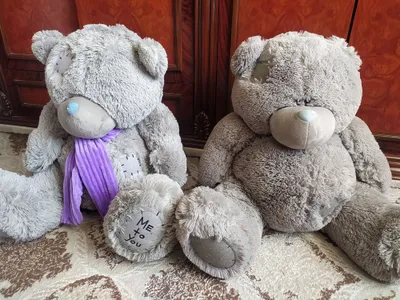 Teddy Ayiq Holati yengi 1