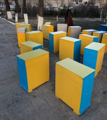 Asalari Uyalari Penoplexdan 1