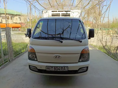 Hyundai Porter II 1