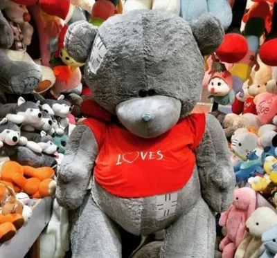 Teddi ayiq teddy 1