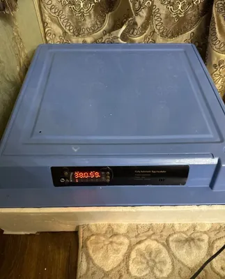inkubattor satiladi 1