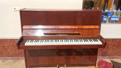 «Lastochka» pianosi sotiladi