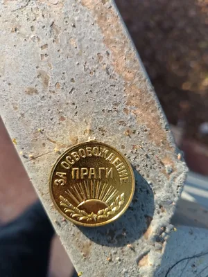 Медаль 1945 года 1