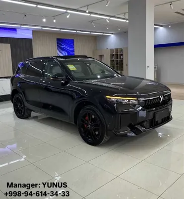 Voyah Free Hybrid 318km 4WD 2025 1